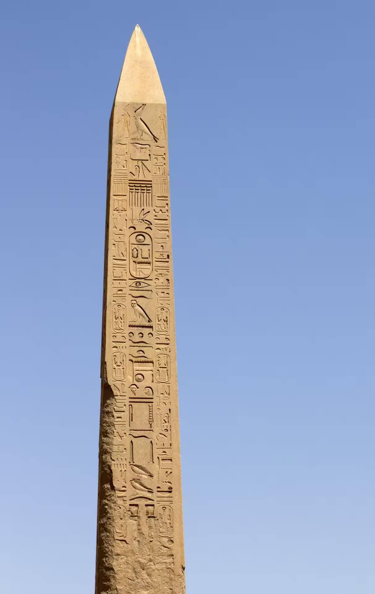 Karnak Temple
Egypt Solar Eclipse Tour
Egypt Eclipse Tour 2027